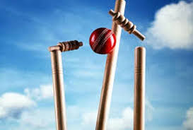 Cricket